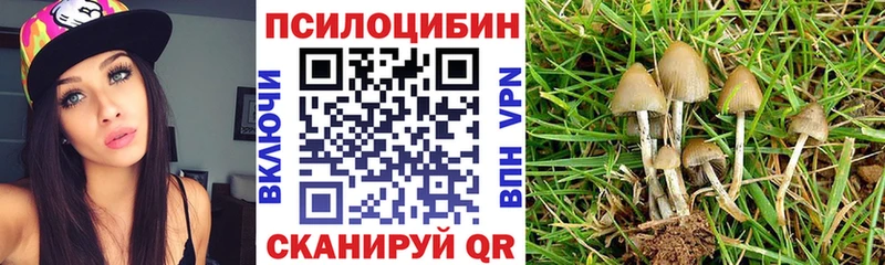 Галлюциногенные грибы Psilocybine cubensis  Купить где  Курлово 