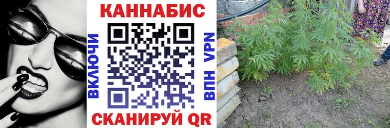 Купить где  Курлово  Шишки марихуана гибрид 